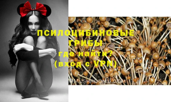 Альфа ПВП Алексин