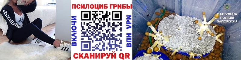 Галлюциногенные грибы Cubensis  Комсомольск 